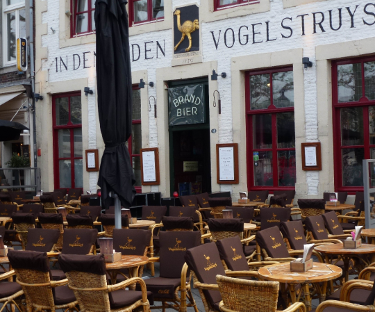Cafe met terrastoelkussens Vrijthof Maastricht.jpg